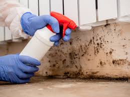 Best Comprehensive Air Testing for Mold Contaminants  in Lake Geneva, WI